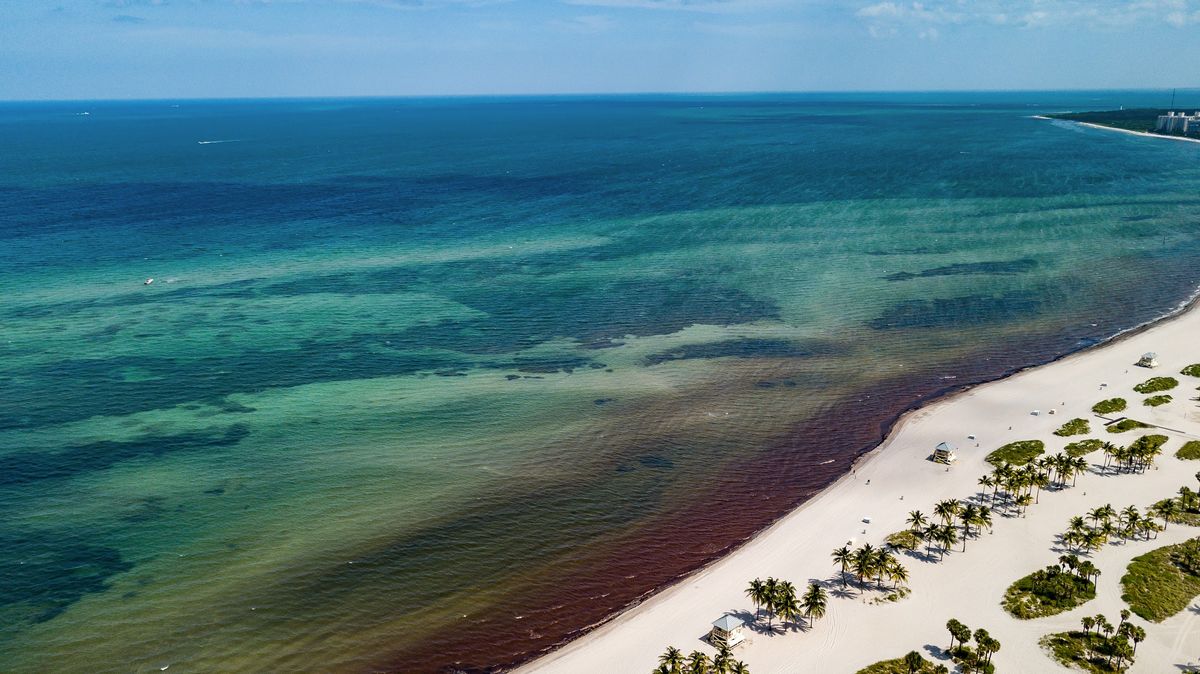 Aerial view of the shoreline and shallows off Key Biscayne